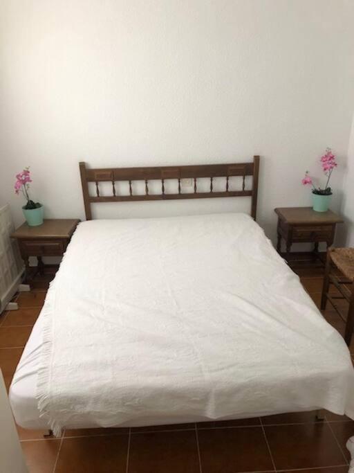 אל קאמפיו Bungalow In Moorse Stijl מראה חיצוני תמונה